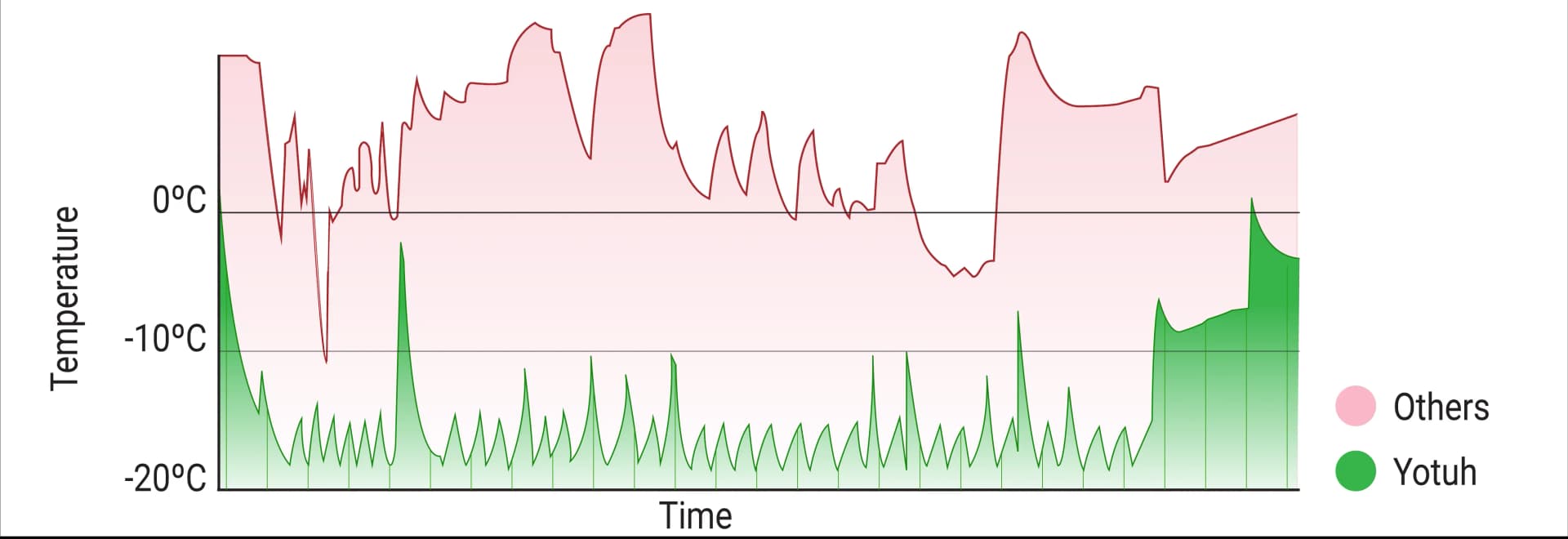 Section Divider Image